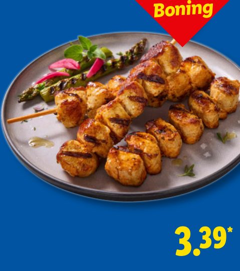GRILLMEISTER Puten-Grillies