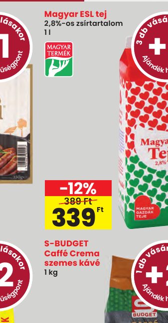 Magyar ESL tej