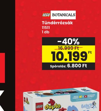 Tündérrózsák