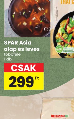 SPAR Asia alap és leves