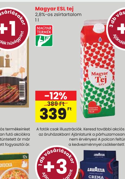 Magyar ESL tej