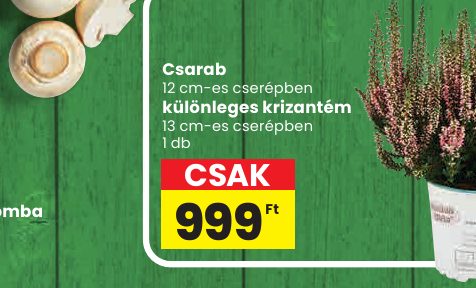 Csarab