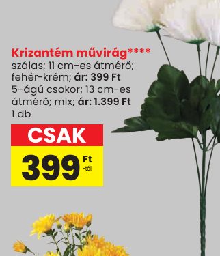 Krizantém művirág****