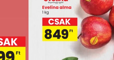 Evelina alma