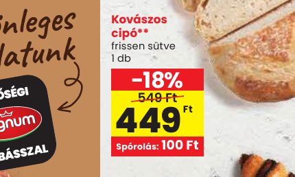 Kovászos cipó**