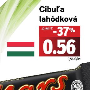 Cibuľa lahôdková